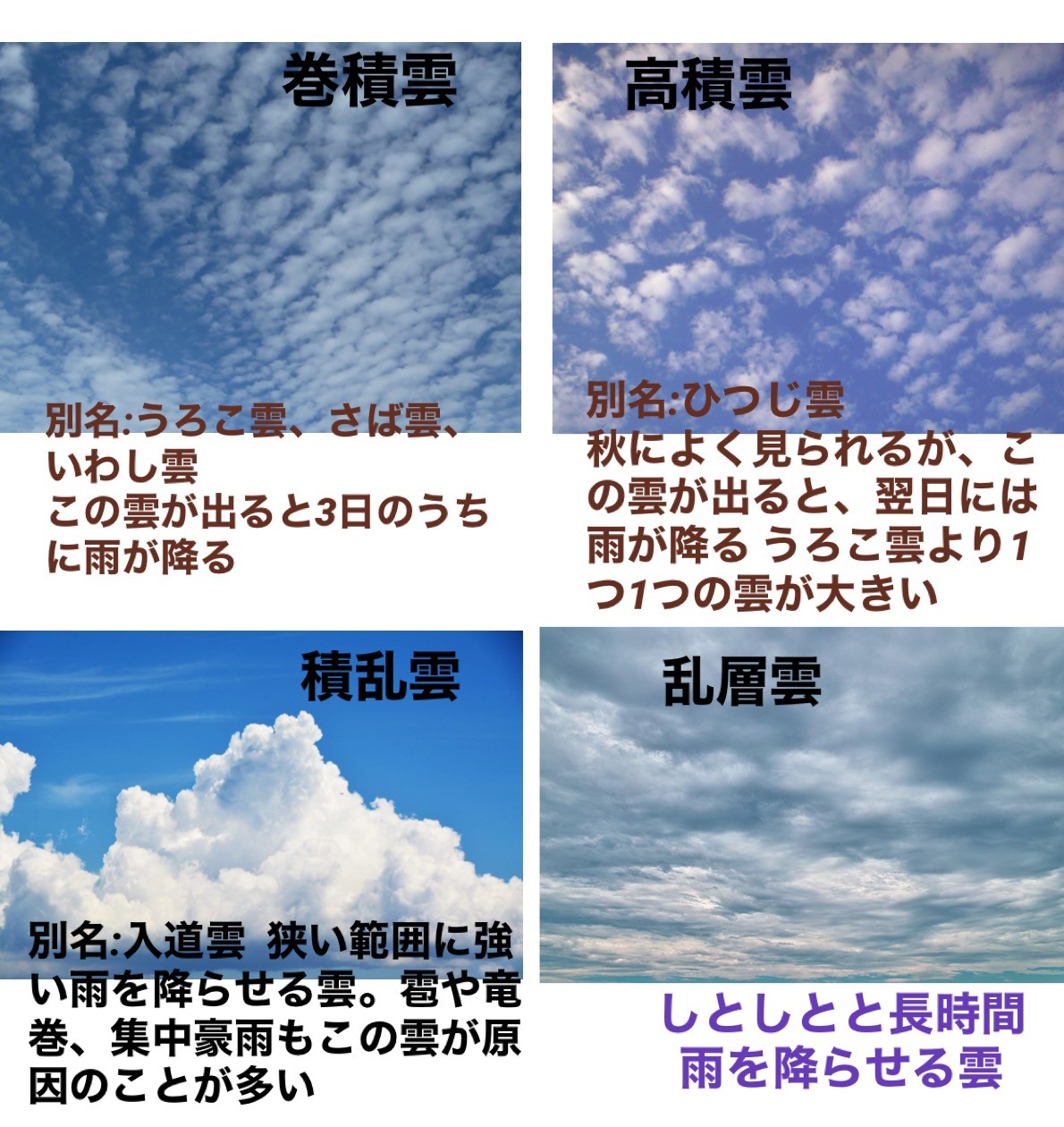 公式ブログ 梅雨空を見ながら 静岡県の通信制高校 未来を創る学舎 中京高校