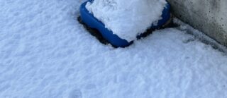 10年ぶりの銀世界―受験生の緊張と、在校生の束の間の休息